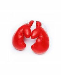 دستکش بوکس چرم