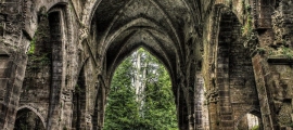 Pellentesque Habitant Morbi Tristique Pellentesque Habitant Morbi Tristique